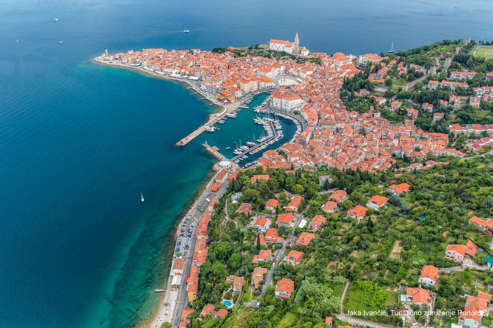 Apartments Souranded By Forest With Sea View Koper Buitenkant foto