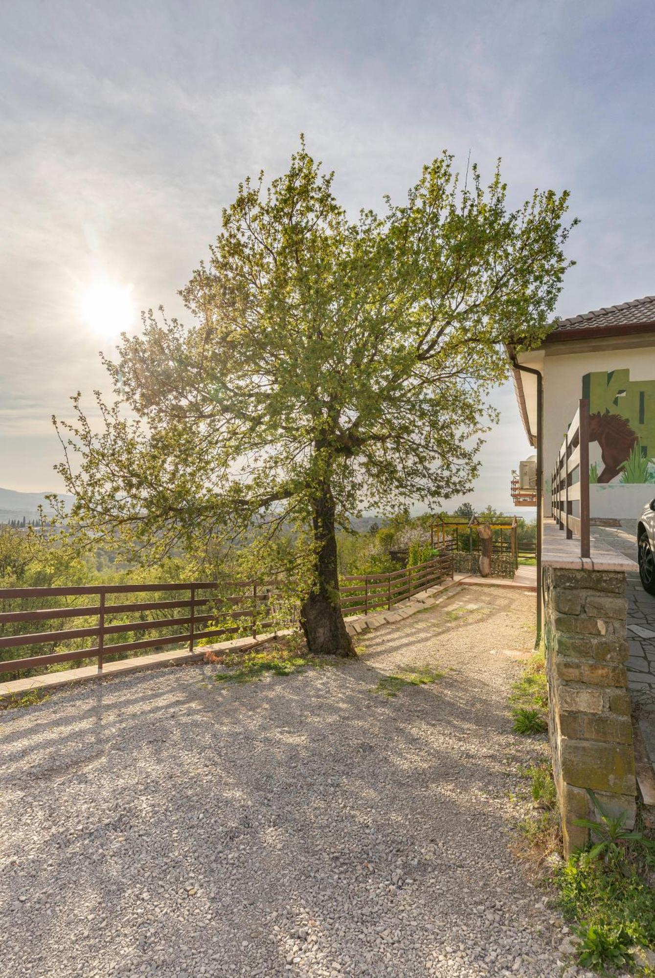 Apartments Souranded By Forest With Sea View Koper Buitenkant foto