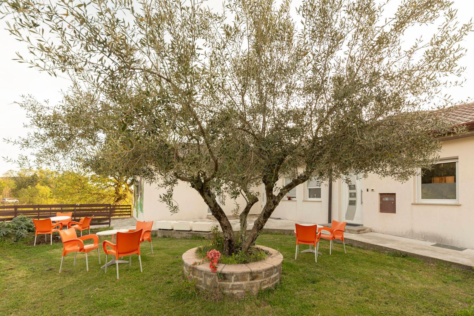 Apartments Souranded By Forest With Sea View Koper Buitenkant foto