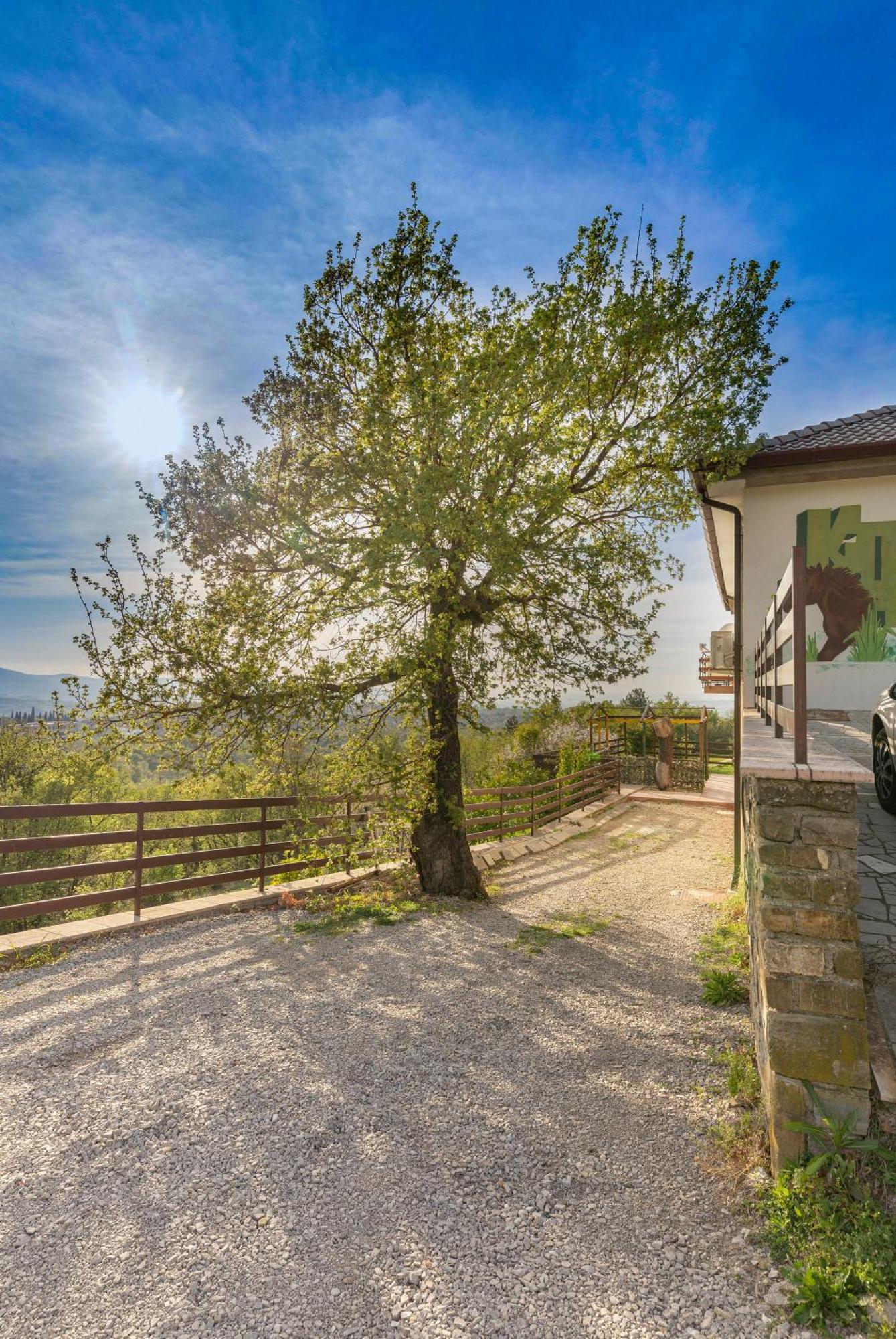 Apartments Souranded By Forest With Sea View Koper Buitenkant foto